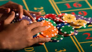 74 bet net